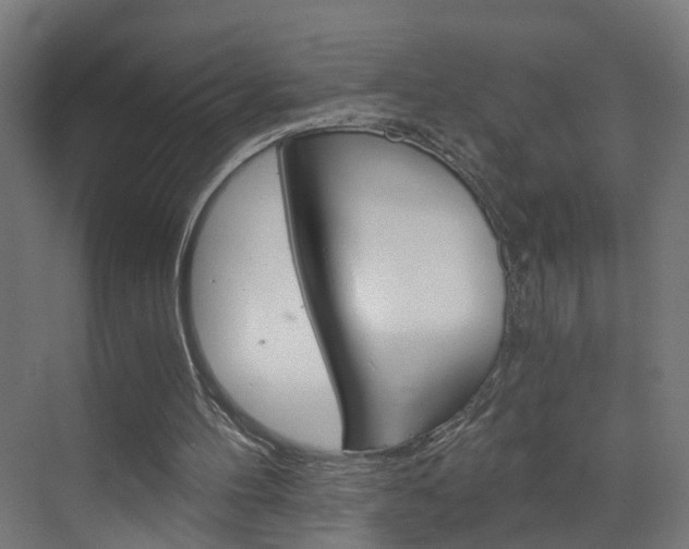 X0000073390100200607280919