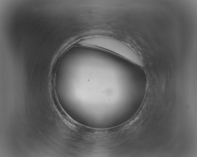 X0000073390101200607280919