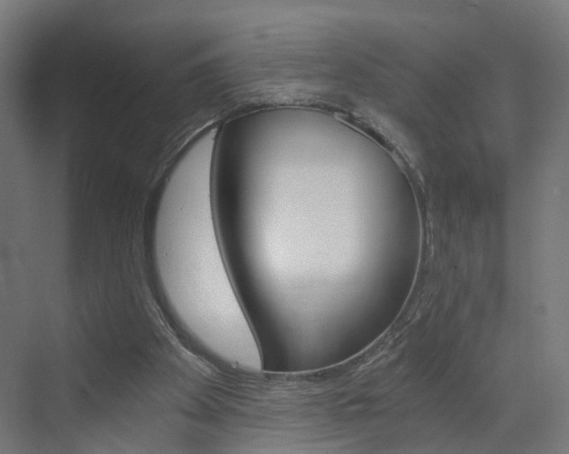 X0000073390105200607280919