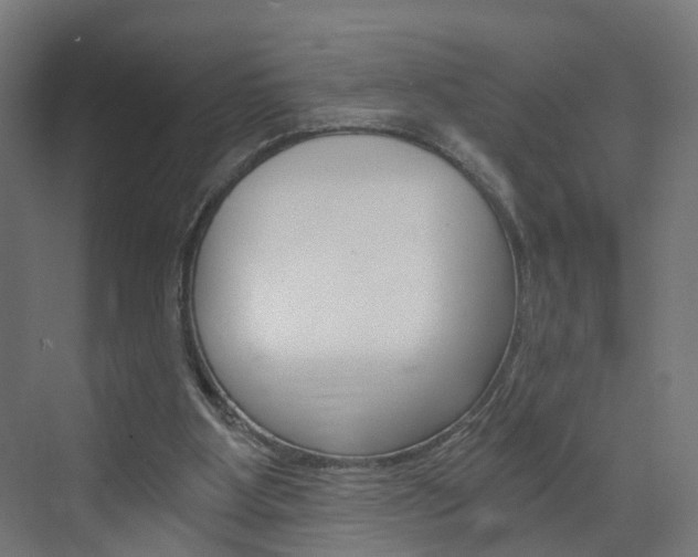 X0000073390107200607280919