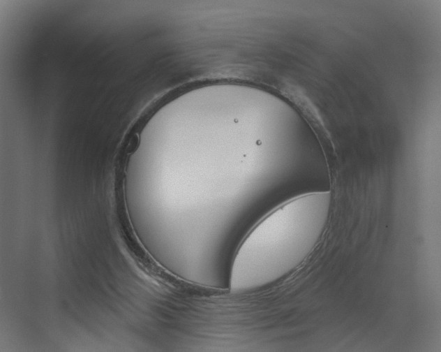 X0000073390108200607280919