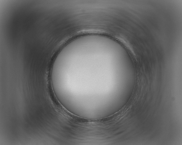 X0000073390111200607280919
