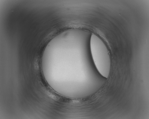X0000073390114200607280919