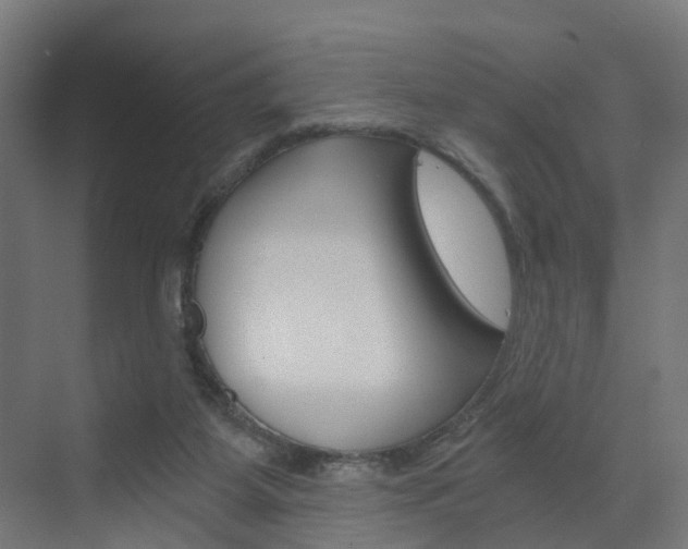 X0000073390115200607280919