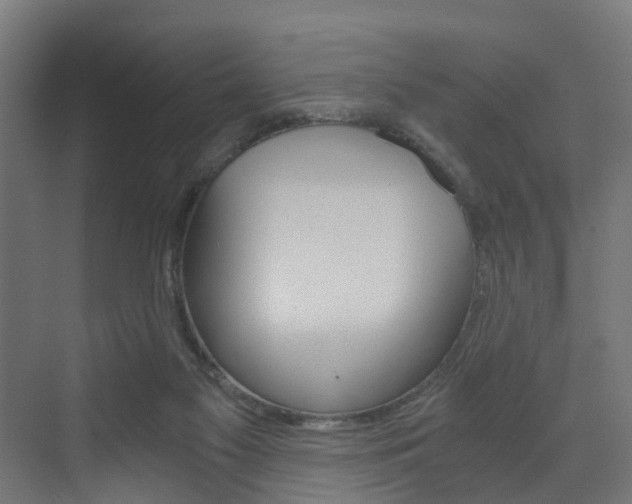 X0000073390117200607280919