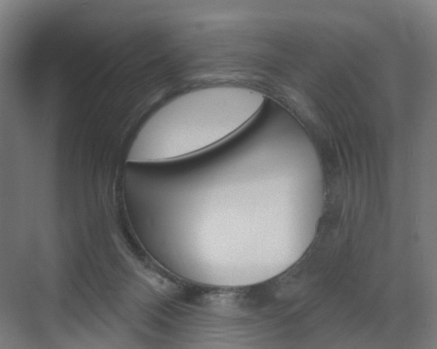X0000073390120200607280919