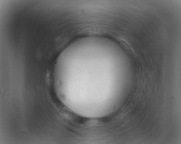 X0000073390123200607280919