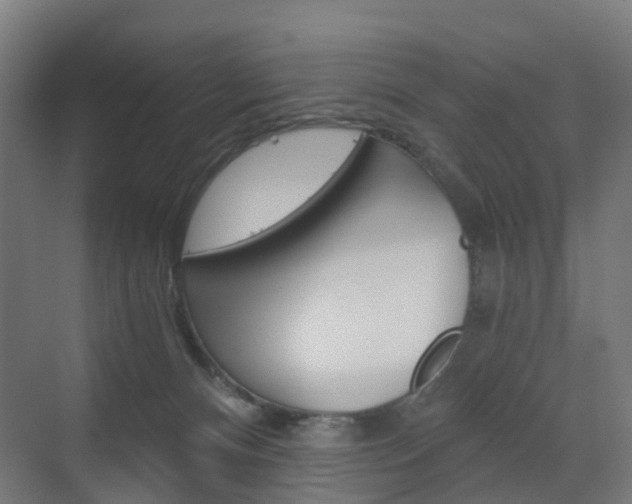 X0000073390128200607280919