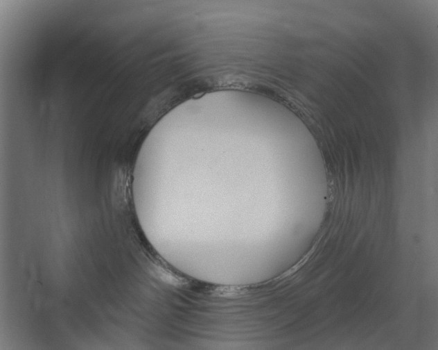 X0000073390142200607280919