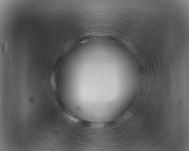 X0000073390143200607280919
