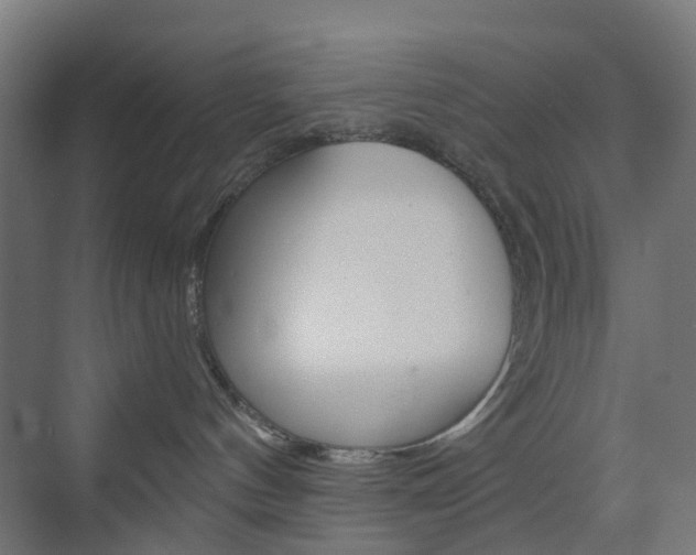 X0000073390144200607280918