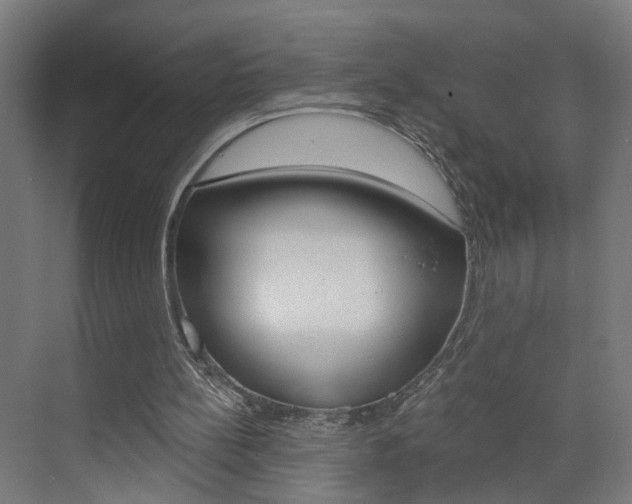 X0000073390148200607280918