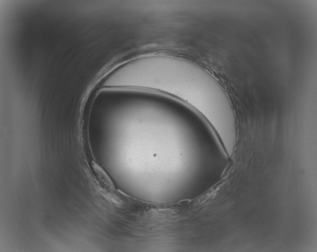 X0000073390150200607280918