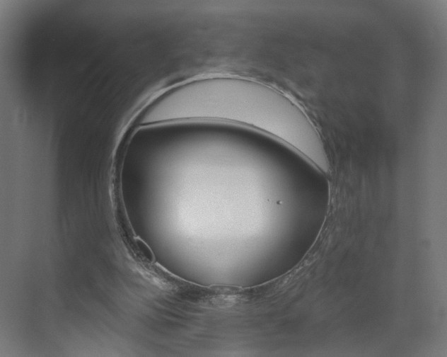 X0000073390152200607280918