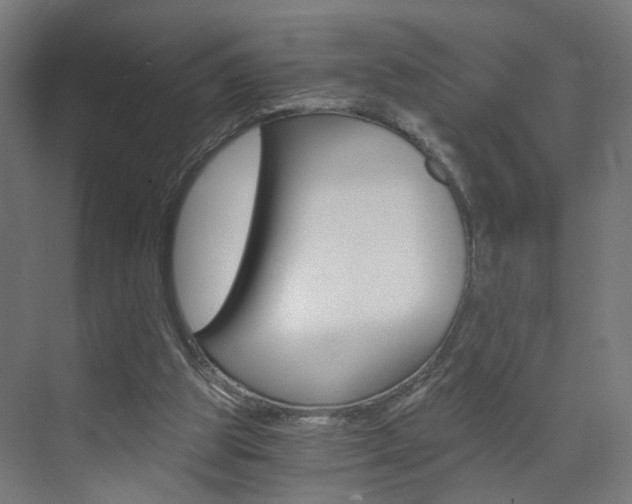 X0000073390153200607280918