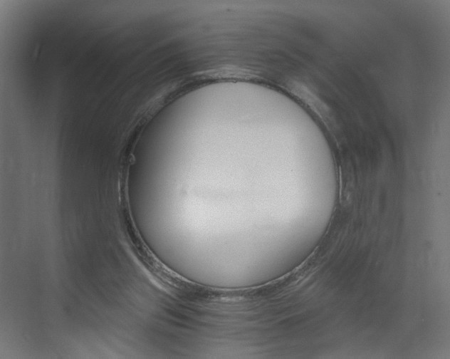 X0000073390157200607280918