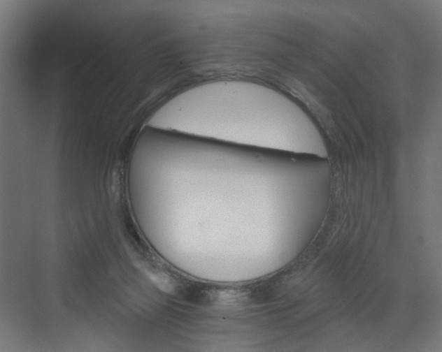 X0000073390165200607280918
