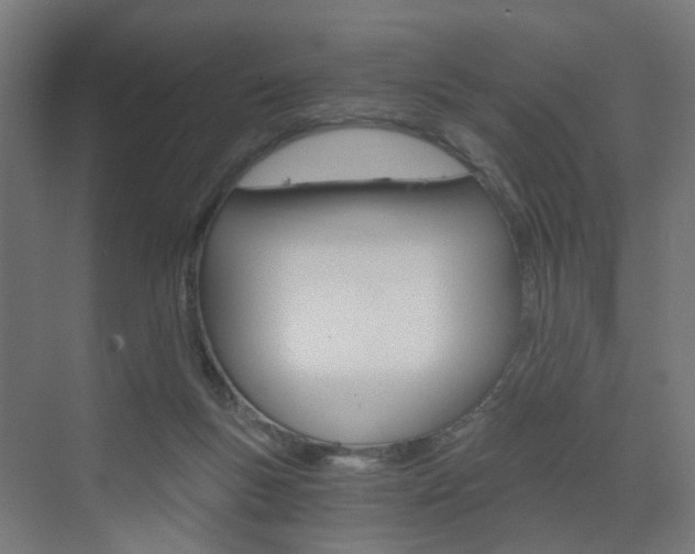 X0000073390167200607280918