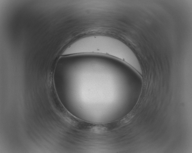 X0000073390168200607280918