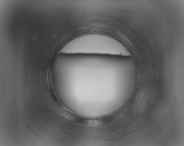 X0000073390169200607280918