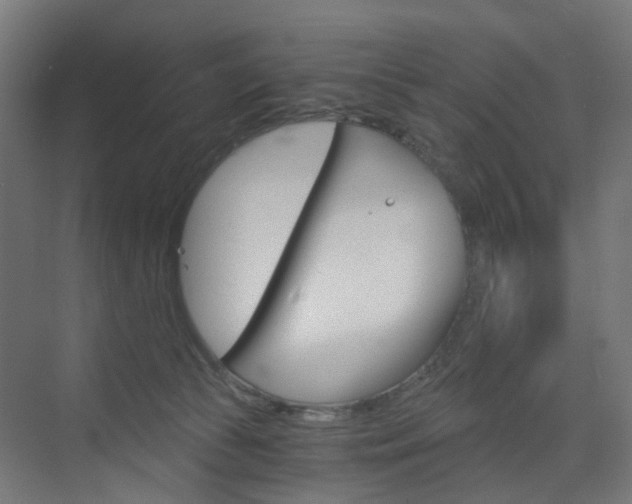 X0000073390177200607280918