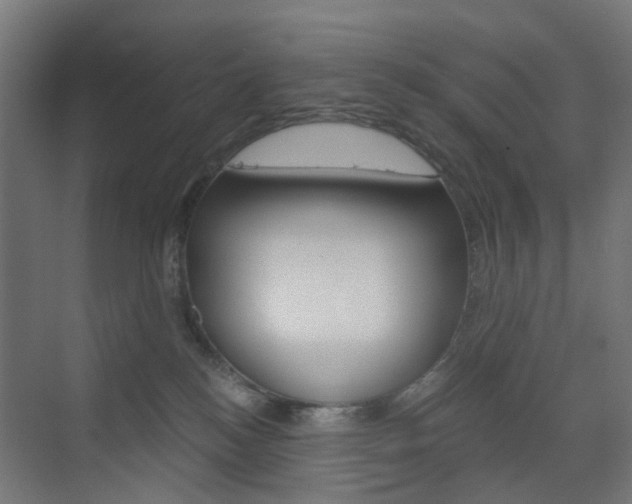 X0000073390184200607280918