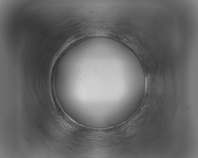 X0000073390195200607280918