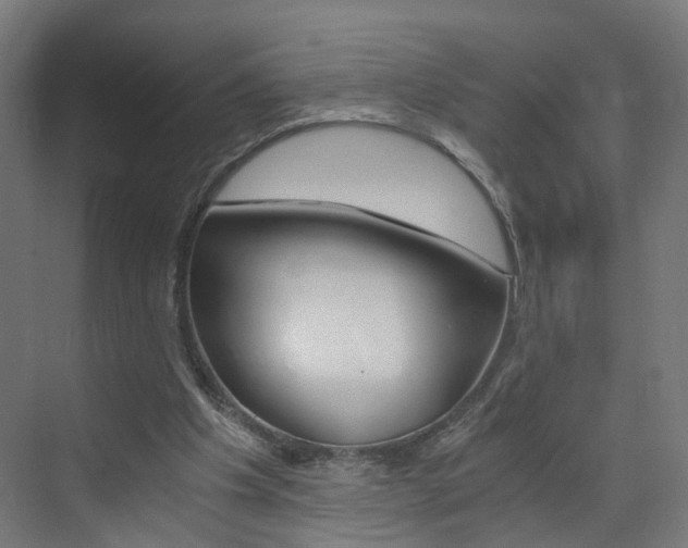 X0000073390201200607280918