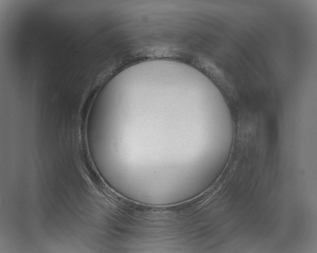 X0000073390202200607280918