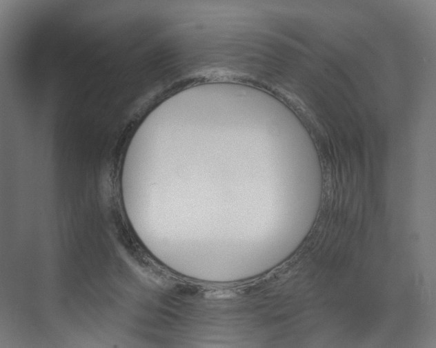 X0000073390208200607280917