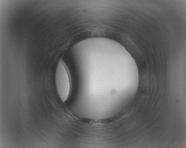 X0000073390228200607280917