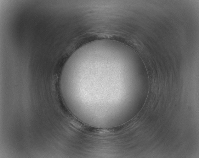 X0000073390229200607280917