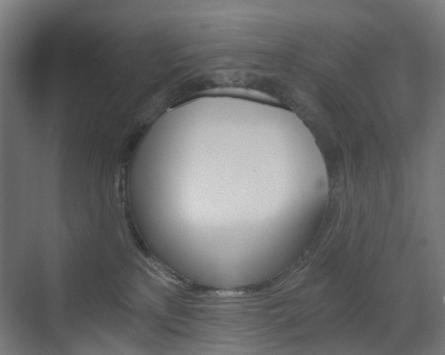 X0000073390233200607280917