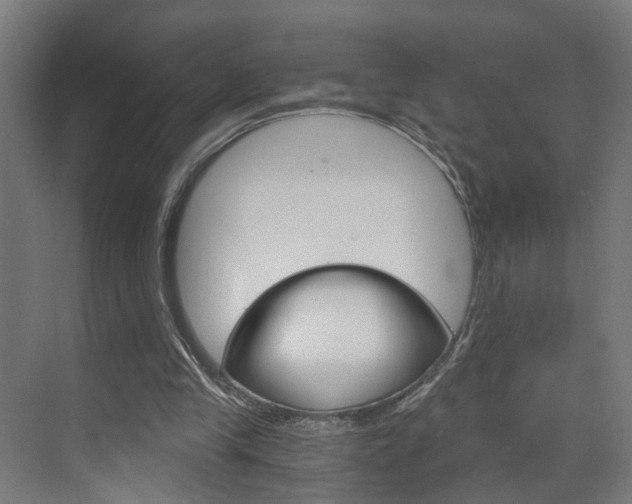 X0000073390245200607280916