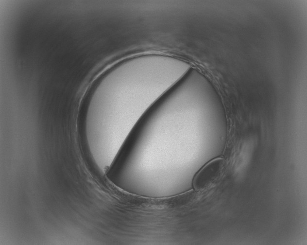 X0000073390247200607280916