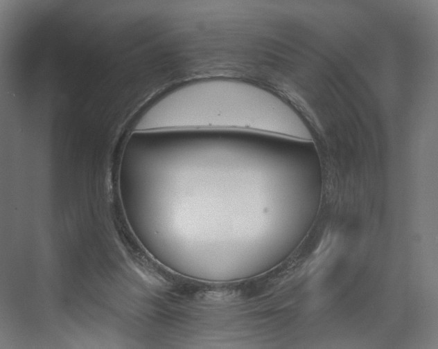 X0000073390251200607280916