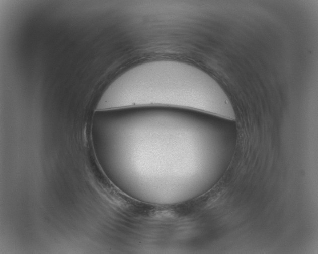 X0000073390262200607280916