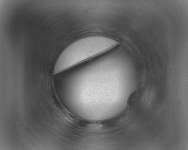 X0000073390266200607280916