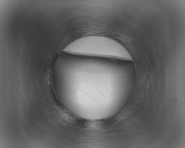 X0000073390273200607280917