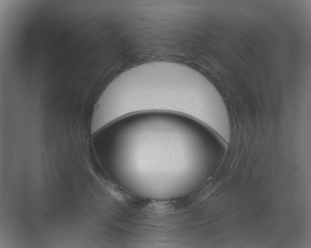 X0000073390280200607280917