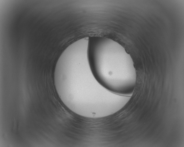 X0000073390287200607280917