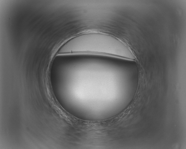 X0000073390289200607280916