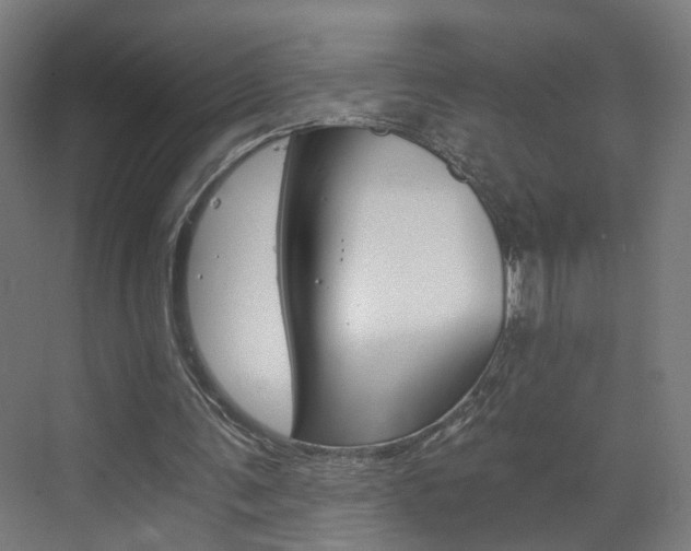 X0000073390291200607280916