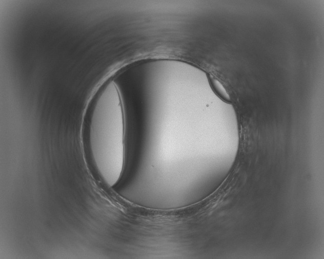 X0000073390292200607280916