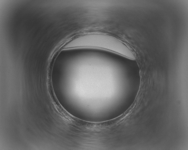 X0000073390293200607280916