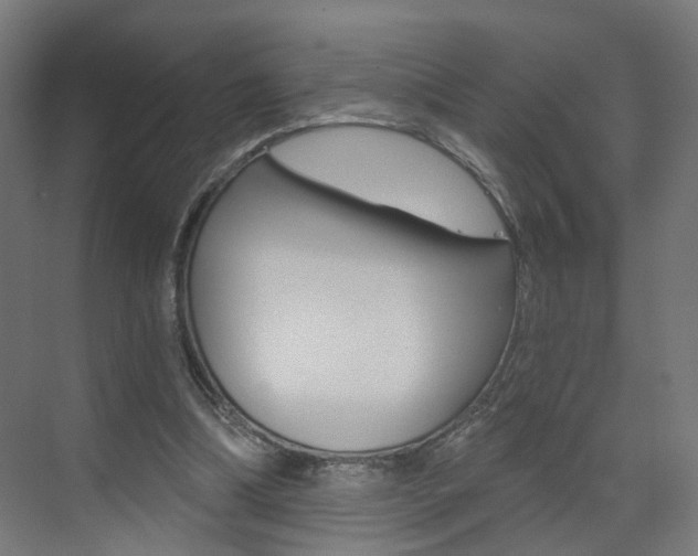 X0000073390298200607280916