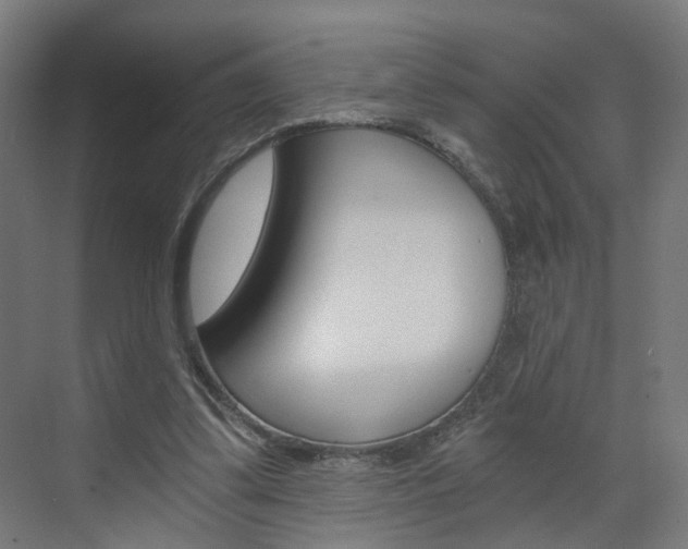 X0000073390299200607280916