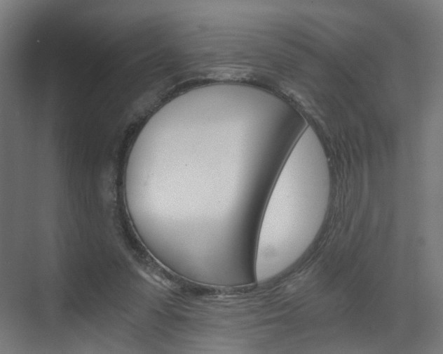 X0000073390303200607280916