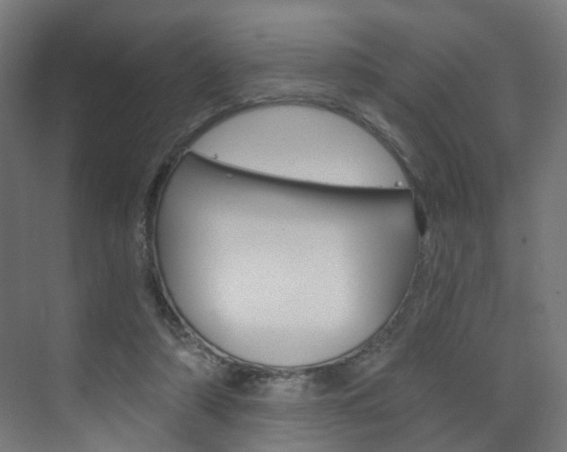 X0000073390306200607280916