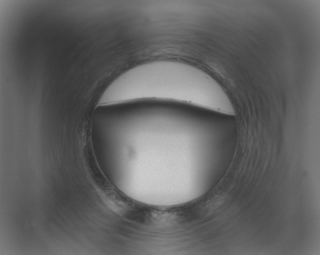 X0000073390311200607280916